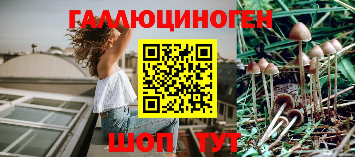 Галлюциногенные грибы ЛСД  Вход с VPN  Псилоцибиновые грибы Psilocybe  где продают наркотики  Звенигород 